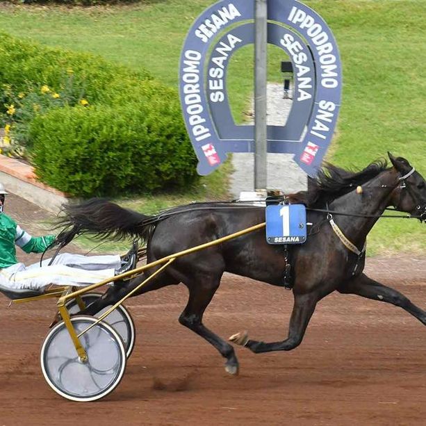 Viene da Vigone la vincitrice del Gran Premio Marangoni di Vinovo
