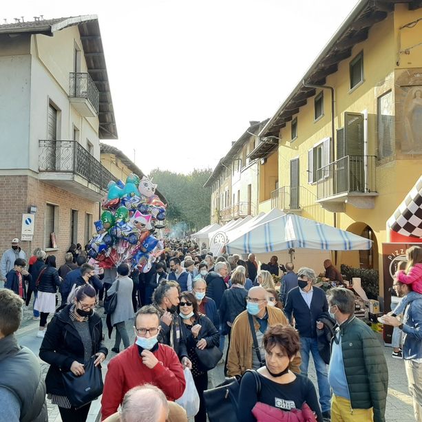 Il mais e i cavalli da stasera riconquistano Vigone