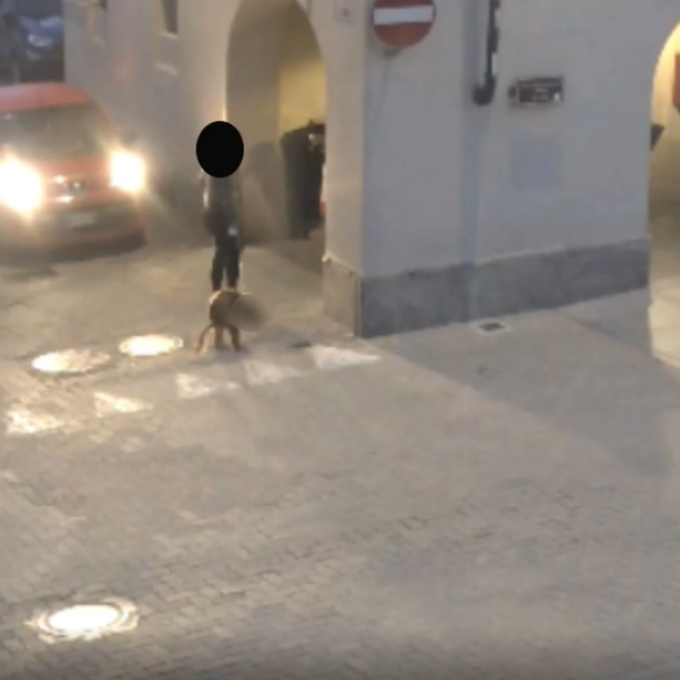 Non raccoglie i bisogni del cane: ripresa dalle telecamere a Vigone [VIDEO]