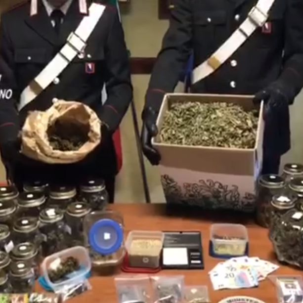 Vigone, la famiglia coltiva droga e il figlio minorenne fa il “fattorino” in bicicletta (VIDEO)