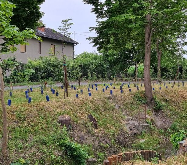 La Croce rossa di Vigone ‘semina’ sostenibilità