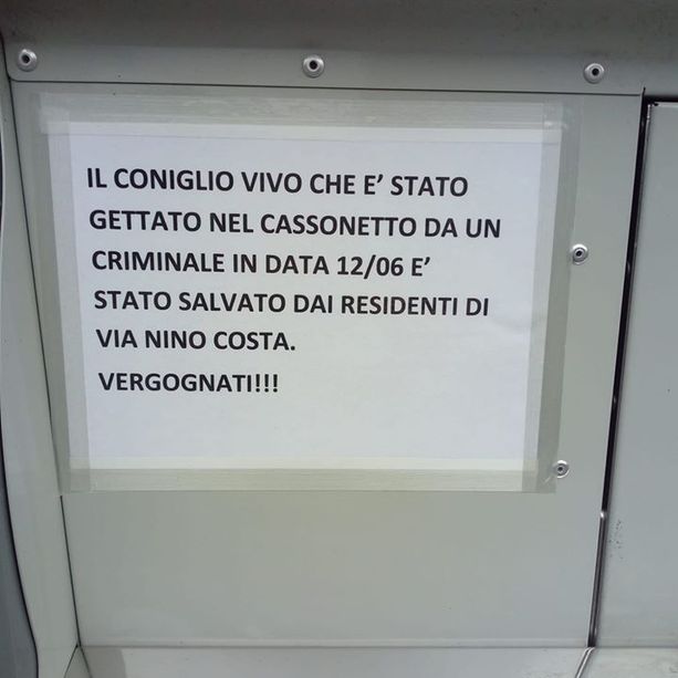 Non ce l’ha fatta il coniglio abbandonato in un cassonetto a Vigone