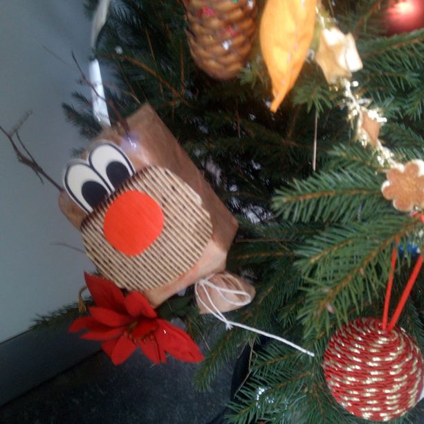 Premiato l’albero di Natale nato dalla complicità dei villafranchesi
