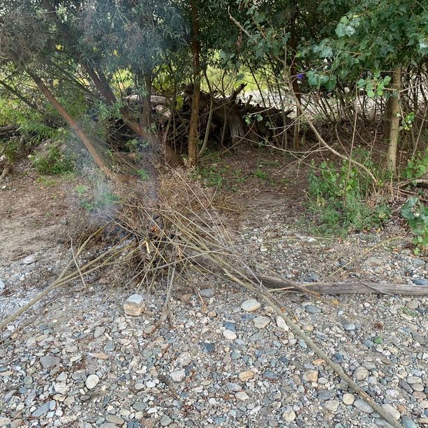 Accendono un fuoco nell’alveo del Pellice vicino alle piante: multata una famiglia