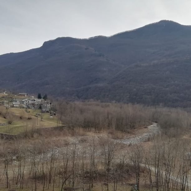 Villar Pellice lancia uno studio sulla popolazione dei lupi in Alta Valle