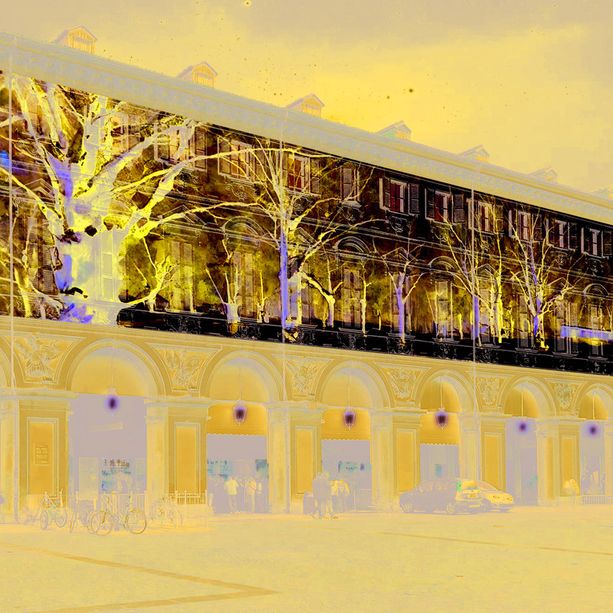Ora a Torino è davvero Natale: acceso lo spettacolo di luci e suoni che racconta l'inverno di Vivaldi, Piazzolla e Caikovskij [FOTO]