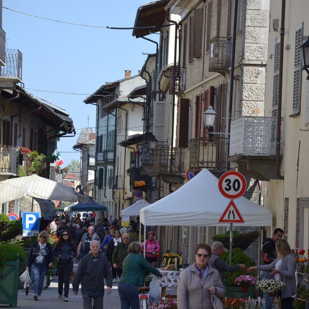 Cavour ritorna a celebrare la carne di razza piemontese
