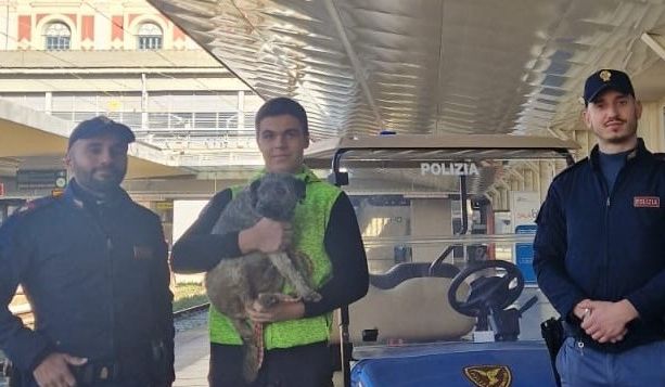 Un cane smarrito rischia di finire sui binari del treno a Porta Nuova: la polizia interviene e lo salva