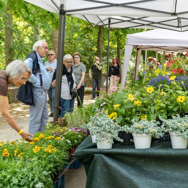 Riscoprire il patrimonio ambientale di Torino: a fine maggio arrivano il Festival del Verde e FLOR