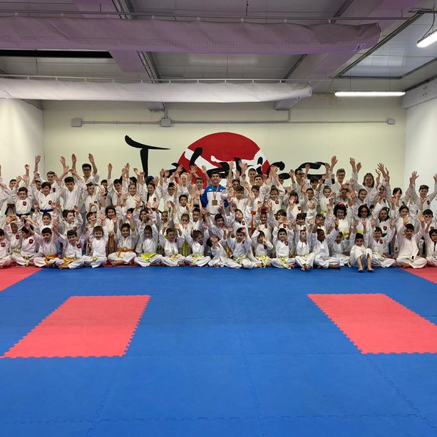 Dal sogno delle Olimpiadi di Tokyo alle lezioni online: il karate del maestro Talarico non si arrende al lockdown