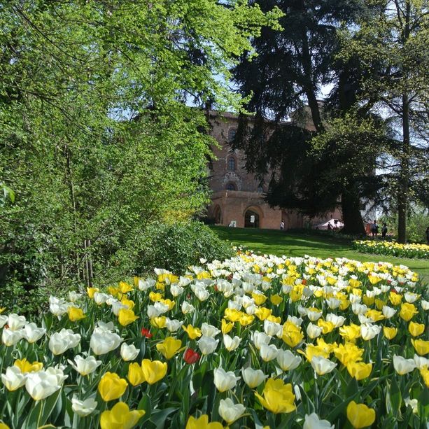 A Pasquetta in giro per musei a Torino e provincia: da Leonardo al Castello di Vinovo, tante le occasioni
