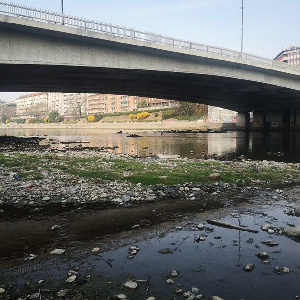 Siccità, il Piemonte a Roma per lo stato di emergenza. Cirio: &quot;Fateci prelevare l'acqua dai fiumi per salvare agricoltura&quot;