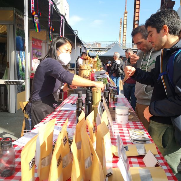 Il mondo del cibo si incontra al Parco Dora, al via Terra Madre Salone del Gusto. Petrini: &quot;Parola d'ordine rigenerazione&quot;