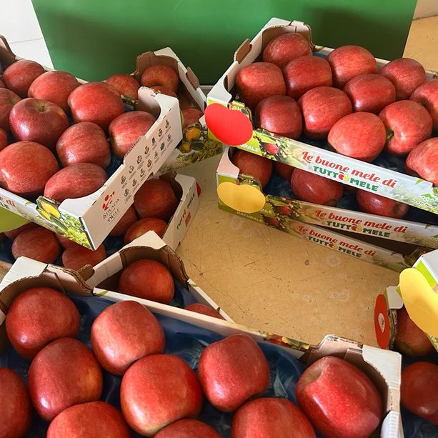 Dalla crisi climatica al caro materiali: il comparto frutticolo si prepara alle prossime sfide [FOTO E VIDEO]