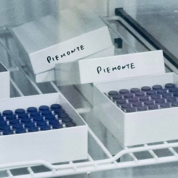Vaccini, il Piemonte passa lo 'stress test': oggi oltre 40mila somministrazioni