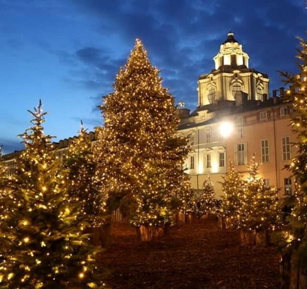 Natale 2023 a Torino, mercatini e pista di pattinaggio in piazza Solferino. Rodari illumina piazzetta Reale