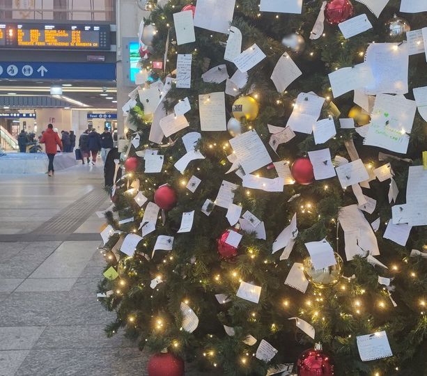 Fragilità, speranze e desideri nelle lettere appese all'albero di Natale di Porta Nuova [FOTO]