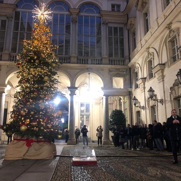 La magia del Natale illumina il cortile del Comune. Lo Russo: “Accensione albero simbolo di speranza e futuro”