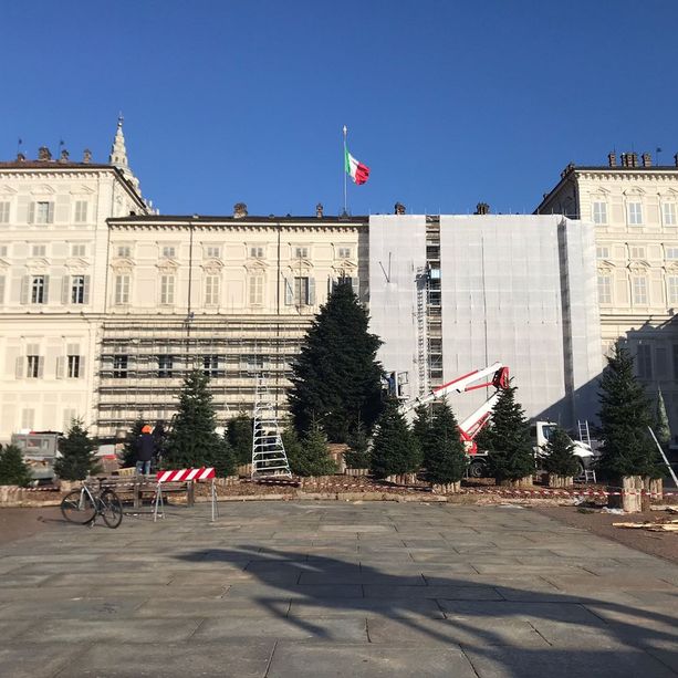 A Torino è Natale: giovedì si accende l'albero in piazzetta Reale. La mappa dei mercatini