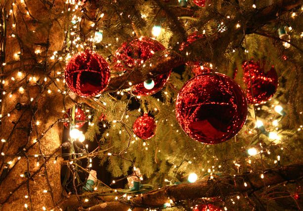 A Vigone arriva il Natale con presepi creativi e alberi addobbati dai bimbi
