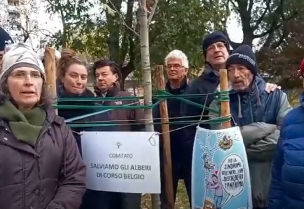 In corso Belgio prosegue il duello del verde: gli attivisti piantano un nuovo albero &quot;contro&quot; il Comune
