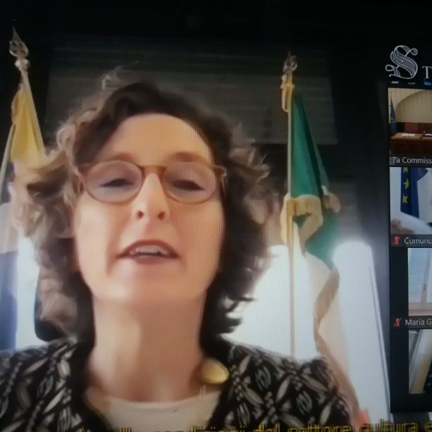 La cultura torinese si appella al Senato, Leon: “Il 2021 peggiore del 2020: si rischia la desertificazione”