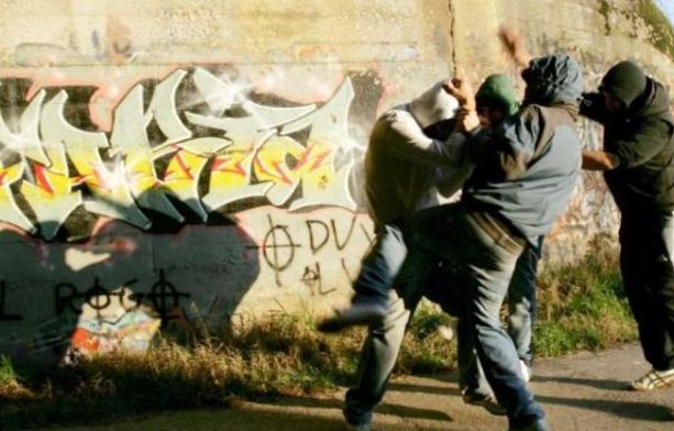 A Parco Dora imperversa una baby gang che gira con un pitbull: due episodi in poche ore