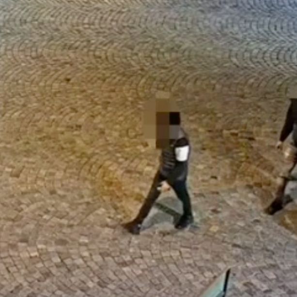 Sgominata la baby gang che terrorizzava i coetanei nel Canavese [VIDEO]