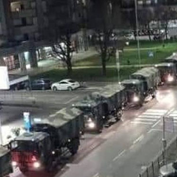 A Torino un bosco urbano per ricordare le vittime del Covid