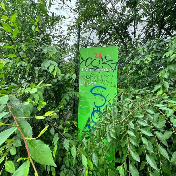 C’era una volta “Il mio giardino”: in via Marsigli l’ex bocciofila è diventata una giungla [FOTO]
