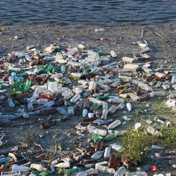 Plastic Free lancia la sua prima raccolta rifiuti a Pinerolo