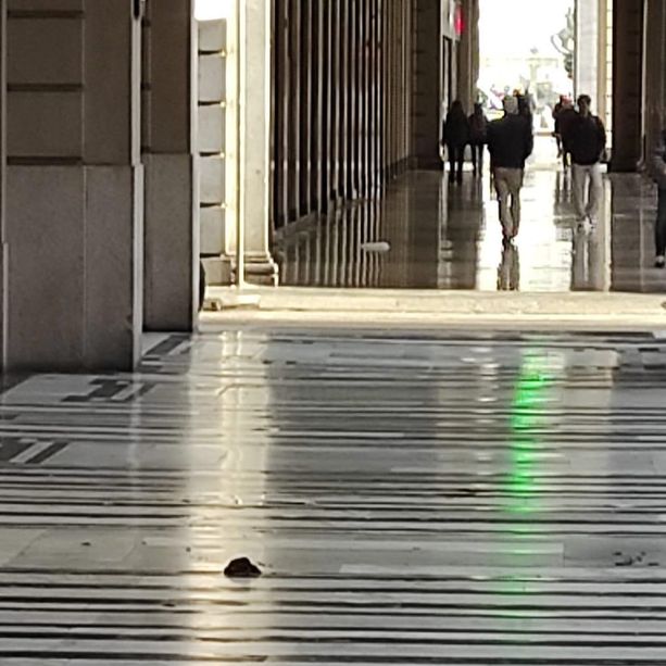 Degrado nel cuore di Torino, quando i portici di via Roma diventano un wc a cielo aperto [FOTO]