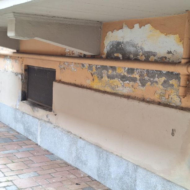Porte rotte, muffa e rifiuti tossici: la triste realtà degli alloggi popolari del quartiere Regio Parco [FOTO]