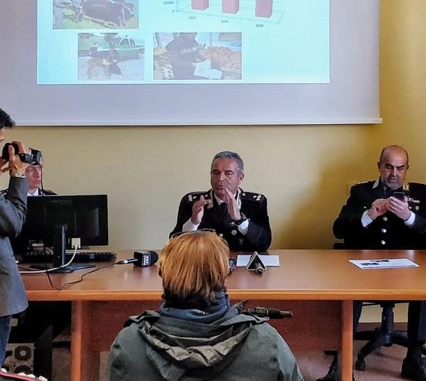 Incendi nei boschi di Val di Susa e nel Canavese: carabinieri forestali indagano su episodi seriali
