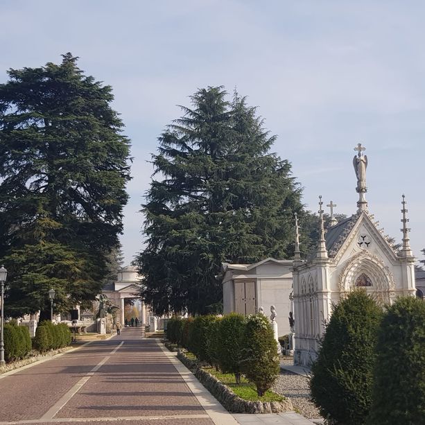 Il Consiglio comunale spinge per riqualificare il Cimitero Monumentale: “Patrimonio sacro e artistico”