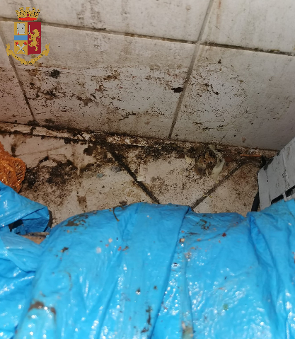 Sequestrati 90 chili di carne e pesce in un minimarket di Millefonti: negoziante multato per 6 mila euro