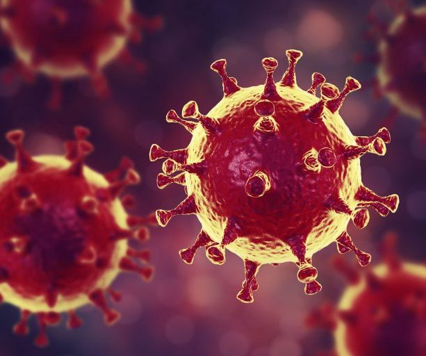 Coronavirus, oggi in Piemonte due morti e 13 ricoverati in più, ma nessuno in terapia intensiva