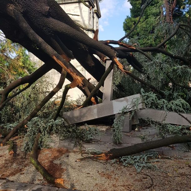 Maltempo, alberi crollano al cimitero Monumentale: tombe danneggiate