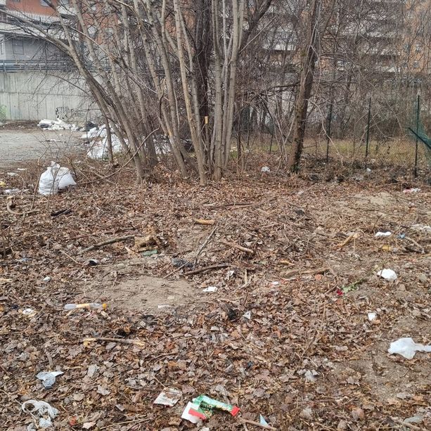 Una discarica abusiva in via Orvieto, il Comune: &quot;Non ci sono telecamere&quot;