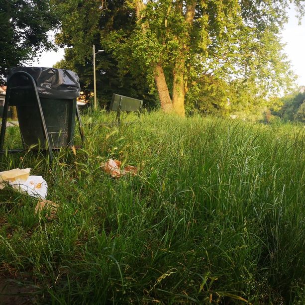 Erba alta e rifiuti, un lettore ci scrive: &quot;Al Michelotti non ci si può più sedere sulle panchine&quot; [FOTO]