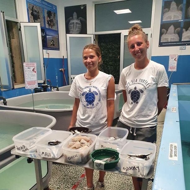 Rinunciano alle ferie per aiutare le tartarughe: la bella storia di Federica e della torinese Alessandra