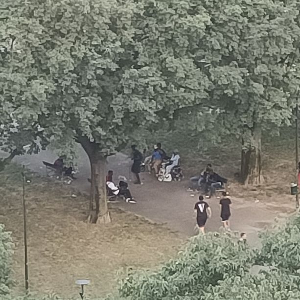 Droga e degrado, un'altra voce da Torino Sud: &quot;I giardini di corso Caio Plinio ormai sono terra di spacciatori&quot;
