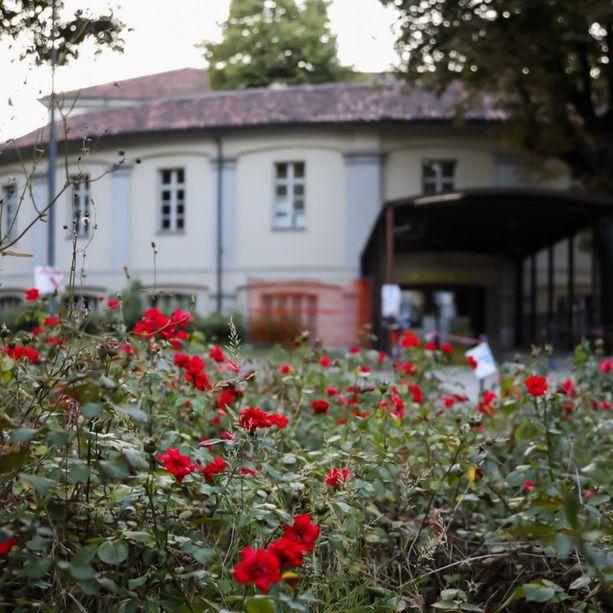 Dall'aula studio ai concerti live: settembre all'aperto nei giardini dell'anagrafe