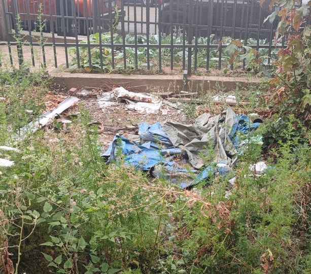 Il pasticcio del giardino di Via Col di Lana tra pubblico e privato: chi pulisce?