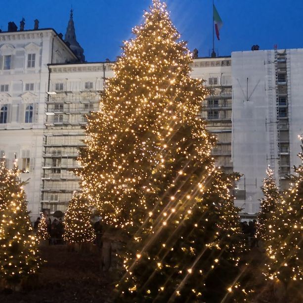 Si accende il bosco di piazzetta Reale, Lo Russo: &quot;Pensiero alle persone in difficoltà. Sia Natale di ripartenza&quot; [FOTO e VIDEO]