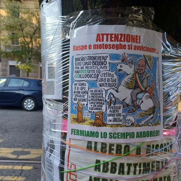 Dopo le proteste, il Comune fa marcia indietro su corso Belgio: &quot;Lavori solo nella 1° parte. Metteremo tigli&quot;