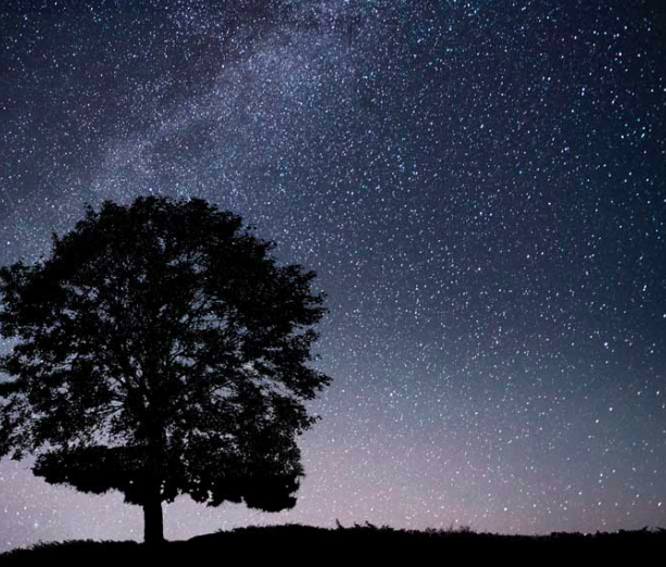 Notte di San Lorenzo: ecco dove vedere le stelle ed esprimere i propri desideri