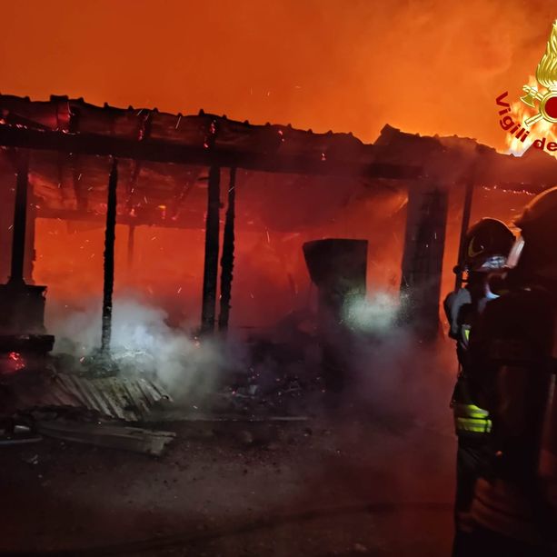 Rogo in una scuderia: feriti due animali. Le fiamme illuminano a giorno il cielo di Rosta