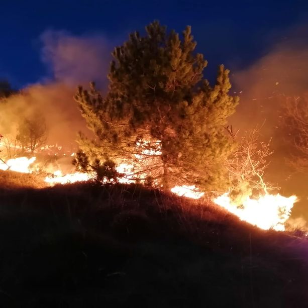 Val della Torre, dopo più di 16 ore di lavoro domato l'incendio del monte Musinè