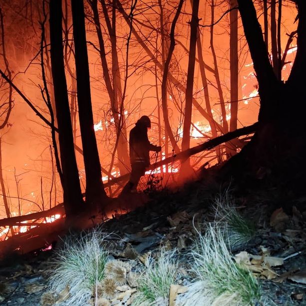 Incendi, alberi caduti e tetti divelti, il vento sconvolge Torino e provincia: 212 interventi in 24 ore per i vigili del fuoco